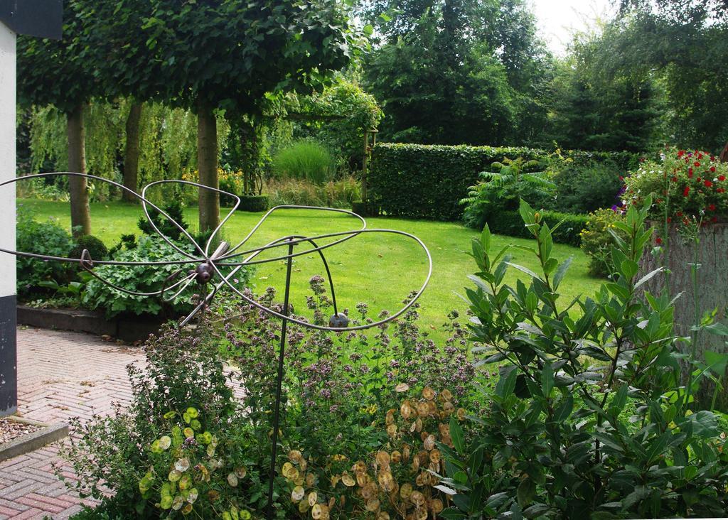 Hollandscheveld Bed&Breakfast 'T Eikeltje المظهر الخارجي الصورة