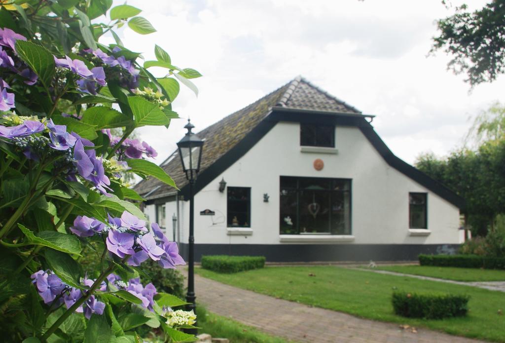 Hollandscheveld Bed&Breakfast 'T Eikeltje المظهر الخارجي الصورة