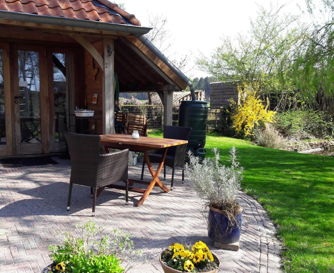 Hollandscheveld Bed&Breakfast 'T Eikeltje المظهر الخارجي الصورة
